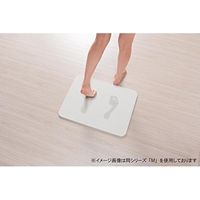 オーエ バスマットL 瞬乾力 バーミキュライト+珪藻土 74890 1個