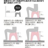 リッチェル アライス バススツール 風呂イス 30H ブラウン 2個セット 4945680301213（直送品）