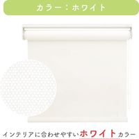 【幅1cm単位】プロ仕様ロールスクリーン幅126cm×高121～160cm＜チェーン式＞ tr4441-126x160-r130 トーソー（直送品）