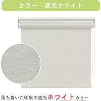 【幅1cm単位】プロ仕様「遮光」ロールスクリーン幅83cm×高161～200cm＜チェーン式＞ tr4512-83x200-r160 トーソー（直送品）