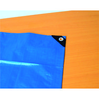 イチネンMTM 両面ハトメパンチ 10mm(#25) 51221 1セット(本体1個 ハトメ1