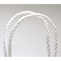 ササガワ 手提げ紙袋 10P白無地 超特大横長 50-6700 1袋(10枚入)