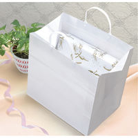 ササガワ 手提げ紙袋 パールB 大 35-5721 1袋（10枚入）