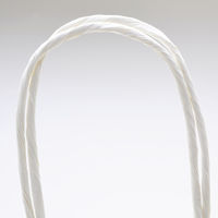 ササガワ 手提げ紙袋 10P白無地 特大角 50-6600 1袋(10枚入)