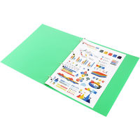 ライオン事務器 リングファイル RFー43S(LG) 12266 1冊