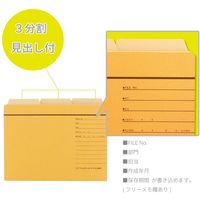 ライオン事務器 カットフォルダーA5ー3FーRー30P 13179 1パック
