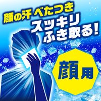 白元アース アイスノン 極冷え洗顔シート 1個（20枚×2パック入） 02472-0