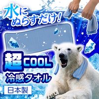 アイスノン 極冷えタオル 白元アース ブルー 1枚 冷感タオル ひんやりグッズ 繰り返し 水で濡らす