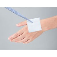 ハクゾウメディカル ハクゾウ滅菌サージョンN No.2102 5cm×5cm 12ply 1枚滅菌 1153691 1箱(1枚入×50袋)