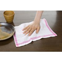 小杉善 格子おしぼりタオル24枚組 34×34cm GM-1002-12 1セット（24枚入）（直送品）