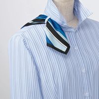 カーシーカシマ 長袖シャツブラウス EWB598-9_11 1枚