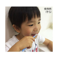 DHL まがる歯ブラシ ベビー 12本入り みかん d-105 1箱(12本) 62-4861-21（直送品）