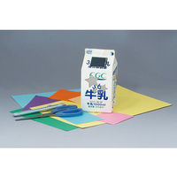 イーケイジャパン 牛乳パックソーラーランタン(フルカラー) JS-6114F 1セット 63-3191-71（直送品）