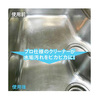 和気産業 ステンレス シンク用コーティング剤 CTG002 1セット 63-1527-20