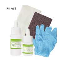 和気産業 トイレ用コーティング剤 CTG003 1セット 63-1527-21