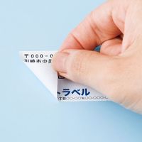 サンワサプライ はがせる耐水ホワイトフィルムラベル 再剥離 A4ノーカット 5枚 LB-EJF03N 1個（直送品）