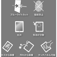 サンワサプライ Apple 第7世代iPad10.2インチ用ブルーライトカット液晶保護指紋防止光沢フィルム LCD-IPAD12BC 1枚