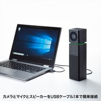 サンワサプライ 会議用 カメラ内蔵 USBスピーカーフォン CMS-V47BK 1台（直送品）