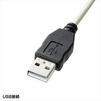 サンワサプライ 日本語109キーボード メンブレン式 ホワイト 有線 USB接続 SKB-109LUN2（直送品）