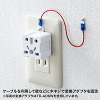 サンワサプライ TR-AD6シリーズ用盗難防止ケーブル、クリップ、ネジセット TR-AD6SET（直送品）