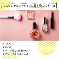 エレコム 撮影用背景シート/COLOR/A3/6枚入 DGA-BPA303 1セット(6枚入)