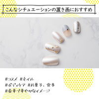 エレコム 撮影用背景シート/STONE/A3/6枚入 DGA-BPA307 1セット(6枚入)