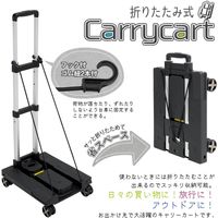 サンケーキコム 軽量折り畳みキャリーカート　固定ゴム紐付　耐荷重50kg CC-50-BK 1台