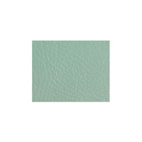 ミズノ ロビーチェア 1人用 背付き グリーン MWC-11AN-GR 1個 62-9958-61（直送品）