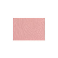 ミズノ ロビーチェア 1人用 背付き ピンク MWC-11AN-PI 1個 62-9958-62（直送品）