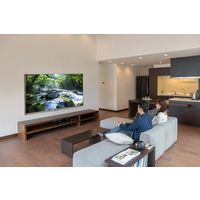 アイリスオーヤマ 液晶テレビ 75インチ 75UB20 4K 有線LAN 直下型LEDバックライト HDR対応（直送品）