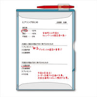 キングジム　カキコホルダー　透明　Ａ４タテ　乳白　８６５７Ｔニユ
