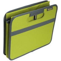 meori 折りたたみ収納ボックス ソリッド Lサイズ グリーン A100016 1個