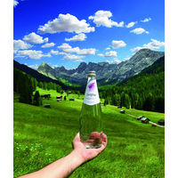 日欧商事 スルジーヴァ スルジーヴァ・ミネラルウォーター(スパークリング) 750ml 811365 1セット(750ml×12本入)