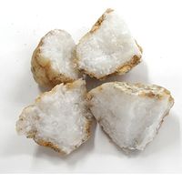 Geoworld 石を割ろう！ジオードクラッキング 20個入り 8033576219523（直送品）