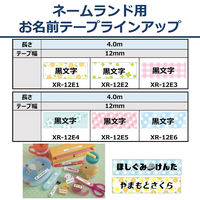 カシオ計算機 カシオネームランドテープ 12ミリ幅 おなまえテープ(ハート柄) XR-12E5 1個