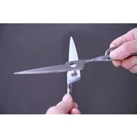 オールステンレスキッチン鋏 キッチンスパッター KS-203 鳥部製作所（直送品）