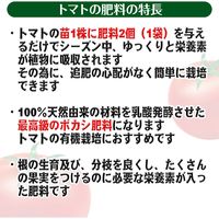 渡辺泰 乳酸発酵 トマトの肥料 2個入り（50g） WTLP-200282 1セット（12袋入）（直送品）