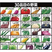 【ギフト包装】 カゴメ 野菜一日これ一本長期保存用（30缶） カゴメ（直送品）