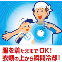 熱中対策 服の上から極寒スプレー 無香料 小林製薬 1本 330mL 冷却スプレー ひんやりグッズ 冷却用品  衣類冷却スプレー