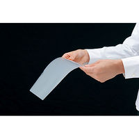 アスクル クリアホルダー A4 1袋（100枚） 再生 ファイル オリジナル（わけあり品）