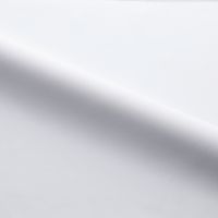 カーシーカシマ ブラウス ホワイト 9号 ESB734-11_9 1着