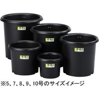 グリーンパル 菊鉢 5号 1セット(5個)