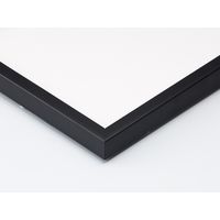 大仙 デッサン縁 MMー05 八つ切 黒 D974A2333 1枚