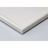 大仙 デッサン縁 MMー02 八つ切 白 D972A2332 1枚