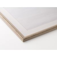 大仙 水彩額 3669 F4 ベージュ H366D0402 1枚