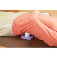 セーブ・インダストリー どこでもおし玉んま SV-4540（直送品）