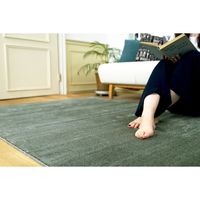 スミノエ BIG SIZE RUG カーム ラグ 防炎 防音 2610×3520mm ダークグリーン 4549781206257 1枚（直送品）