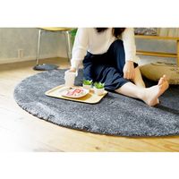 スミノエ BIG SIZE RUG イルミエ ラグ 防炎 防音 1000×1000mm チャコール 4549781206745 1枚（直送品）