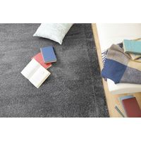 スミノエ BIG SIZE RUG イルミエ ラグ 防炎 アレルブロック 2000×2000mm チャコール 4549781206592 1枚（直送品）