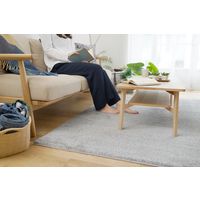 スミノエ BIG SIZE RUG イルミエ ラグ 防炎 アレルブロック 2610×2610mm シルバー 4549781206660 1枚（直送品）